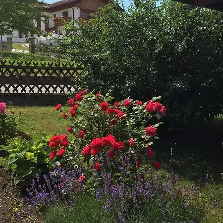 Haus Schabus Appartamento Tröpolach